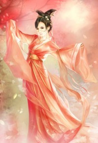 帝少的私宠娇妻
